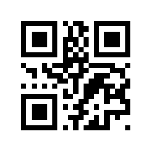 bergman二维码生成