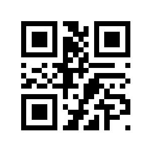 zzzzing二维码生成