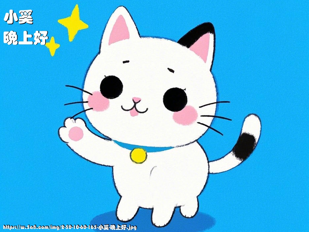 小奚晚上好搞笑图片