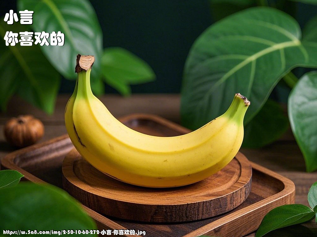 小言你喜欢的搞笑图片