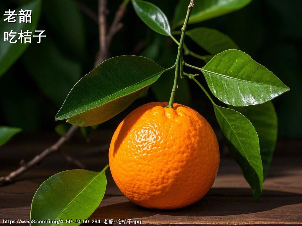 老韶吃桔子搞笑图片